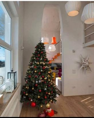 Loft indipendente