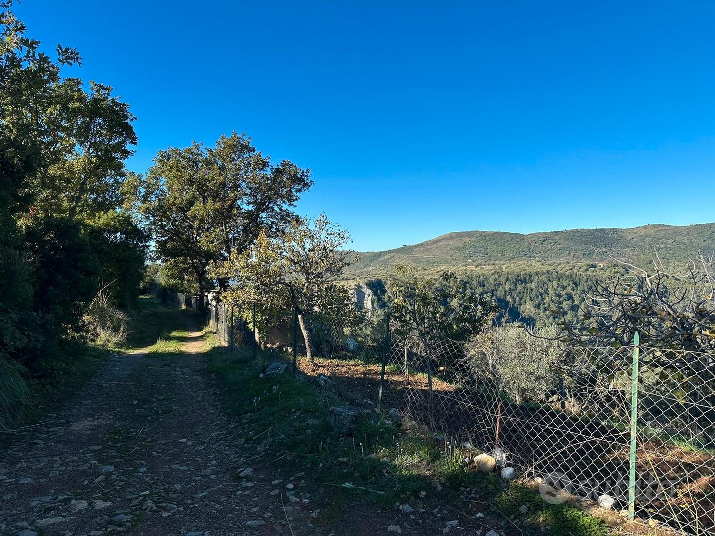 Terreno agricolo a camerota - Vista 5