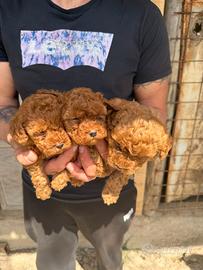 Mini mini mini toy 18 cm