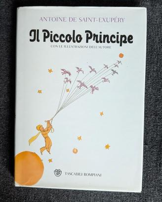 Il piccolo principe