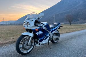 Yamaha fzr 1000 genesis totalmente restaurata