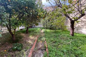 Sorso via pisacane con giardino