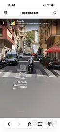 Negozio Genova