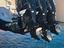 Immagine 11