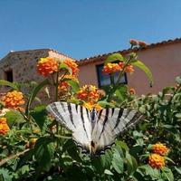 Per amanti della tranquillità bilocale arredato