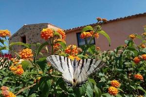 Per amanti della tranquillità bilocale arredato