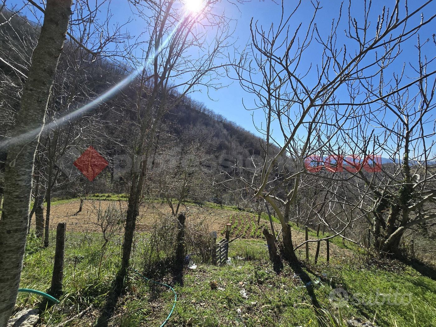 Terreno Agricolo Rieti [Cod. rif 3218243VRG] - Altro