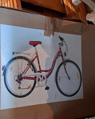 bicicletta