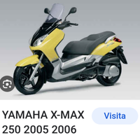 T max del 2006