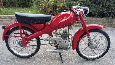 Motom Sport Anni 50
