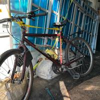 Bici uomo