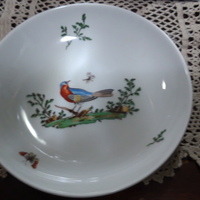 Piatto richard ginori da collezione