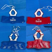 Sistema Elettronico taekwondo gen2 daedo