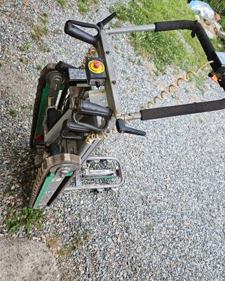 carrello elettrico