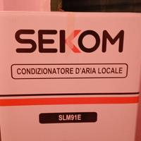 Condizionatore portatile