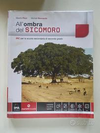 All'ombra del SICOMORO ISBN: 9788839303226