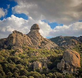 Terreno con rustico 20 minuti da Porto cervo