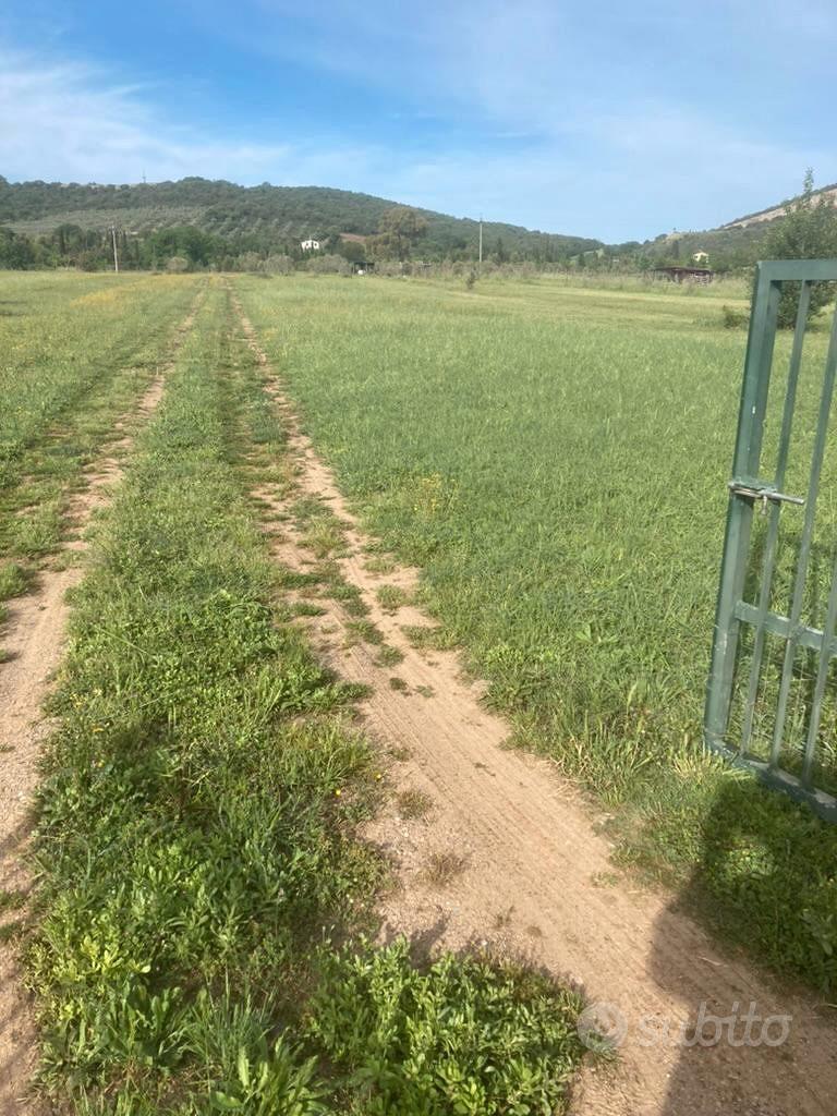Terreno Agricolo 1,3Ha con attrezzatura - Grosseto - Vista 2