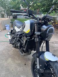Benelli leoncino