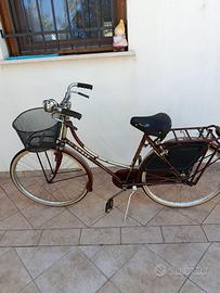 bicicletta Holland 