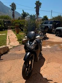Liberty 50 sport