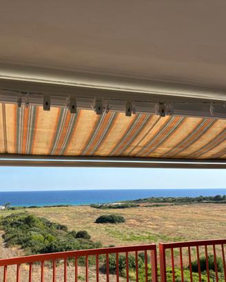 Tenda da sole a bracci estensibili 5,60 m