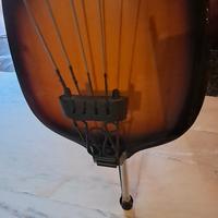 contrabasso elettrico