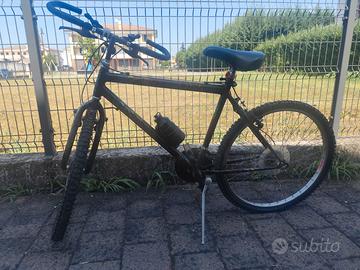 Bicicletta 