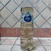 DAPHNIE vive per acquario o allevamento