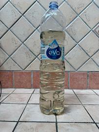 DAPHNIE vive per acquario o allevamento