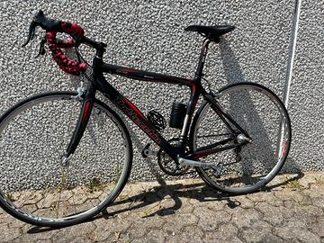 Bottecchia Shark Carbon Campagnolo Chorus 10v
