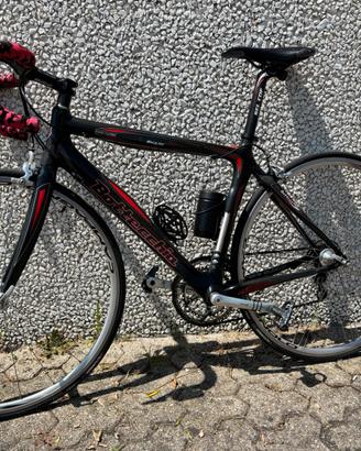 Bottecchia Shark Carbon Campagnolo Chorus 10v
