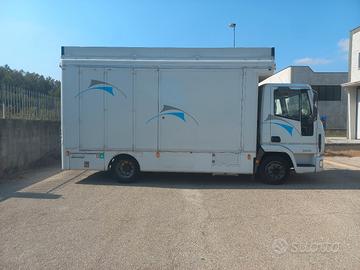 autocarro allestimento mercato calzature o altro