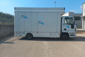 autocarro allestimento mercato calzature o altro
