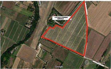 Terreno di 42000 m² a Sansepolcro