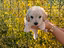 Immagine 5