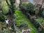 Immagine 14