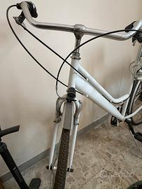 Bici da citta