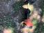 Immagine 2