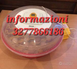 Incubarrice x uccelli