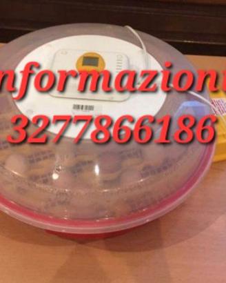 Incubarrice x uccelli