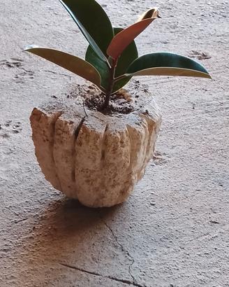 Vaso angolare