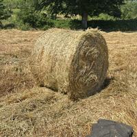 Rotoballa di fieno