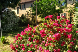 Appartamento in cascina nel verde