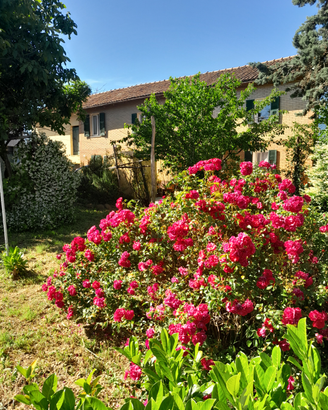 Appartamento in cascina nel verde