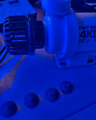 pompa risalita acquario Blau 4KDC