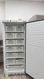 Congelatore Professionale Forcar G-EF600CAS 600LT