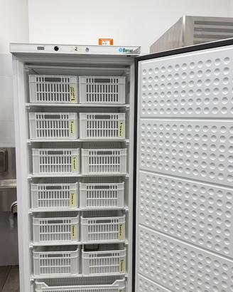 Congelatore Professionale Forcar G-EF600CAS 600LT