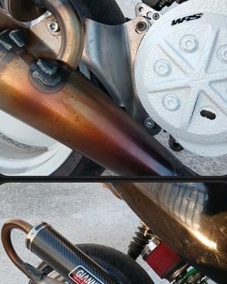 giannelli shot v4 piaggio 