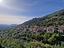 Immagine 12
